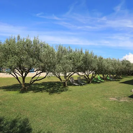 Maslina Holiday home *